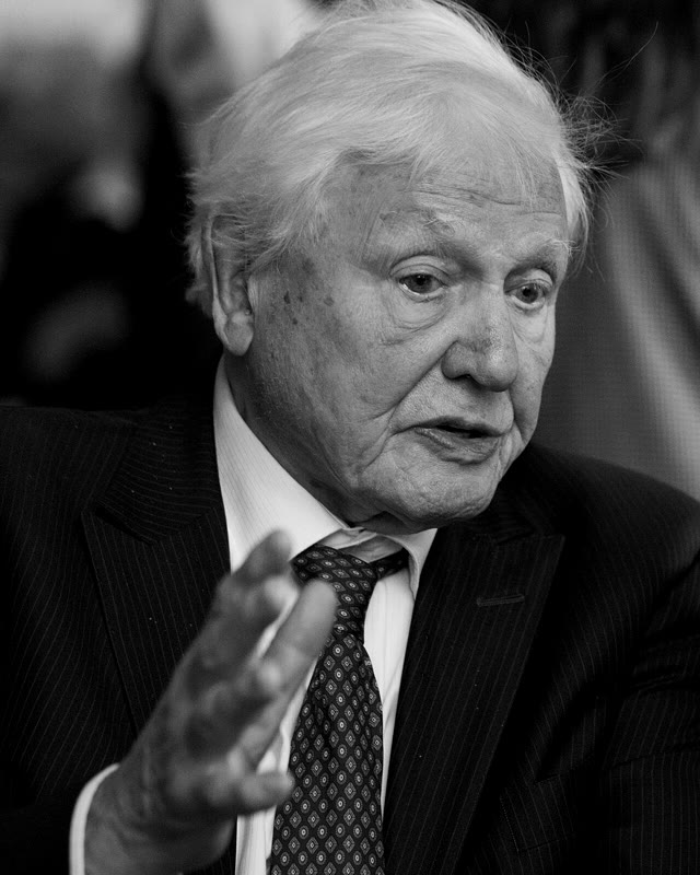 David Attenborough at the House of Lords in 2025