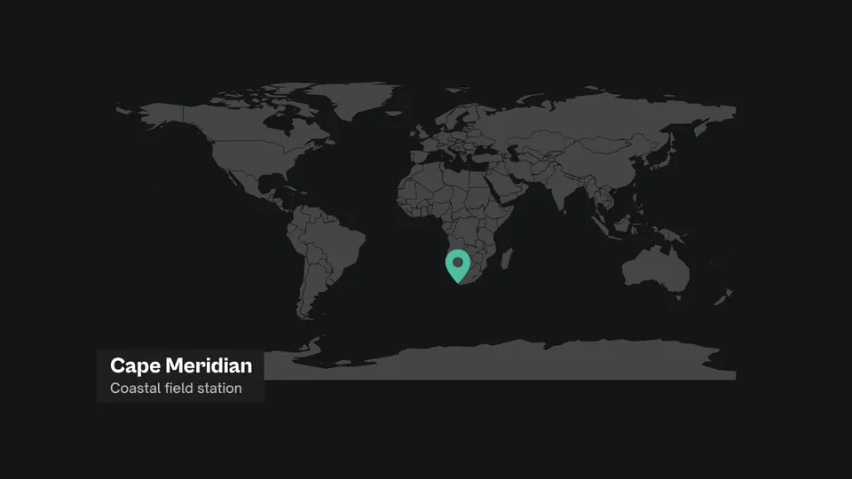 Location Pin Drop in the Eddie demo brand
